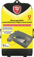 Protect Home muizenval Catch & Hold