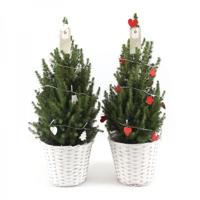 Kerstboom met verlichting - P 26 cm