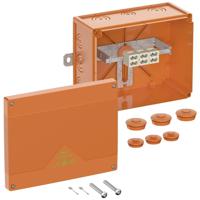 Spelsberg WKE 6 - Duo 3 x 16q Aftakkast (l x b x h) 250 x 200 x 120 mm Oranje IP66 1 stuk(s) - thumbnail