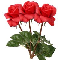 Top Art Kunstbloem roos Caroline - 3x - rood - 70 cm - zijde - kunststof steel - decoratie bloemen - Kunstbloemen - thumbnail