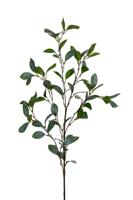 Blad l88cm groen/grijs kunstbloem Louis Maes - Louis maes