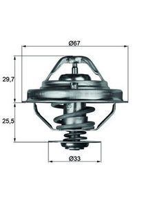 Thermostaat, koelvloeistof TX3880D