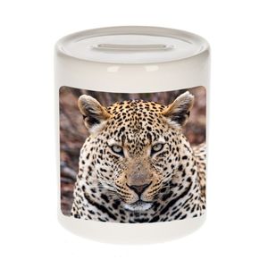 Foto jaguar spaarpot 9 cm - Cadeau jaguars liefhebber   -
