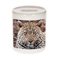 Foto jaguar spaarpot 9 cm - Cadeau jaguars liefhebber   - - thumbnail