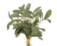 Bunch polyester l20b20h24cm groen - Everlands