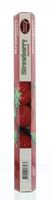 Natures Incense Wierook aardbei (20 st)