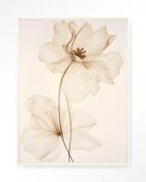 Urban Cotton Wandkleed 'White Flowers' 80 x 110cm in Floating Frame - off white