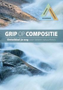 Grip op compositie (Hardback)