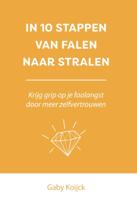 In 10 stappen van falen naar stralen (Paperback)