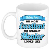 Cadeau koffie/thee mok - excellent leraar/mentor - wit - keramiek - 300 ml