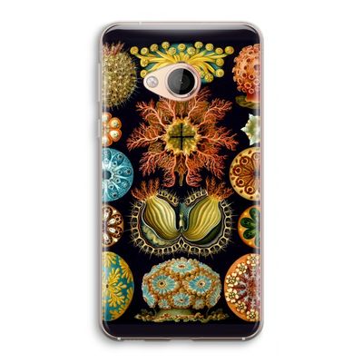 Haeckel Ascidiae: HTC U Play Transparant Hoesje