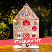 Adventskalender 2025 Adventskalender 2025