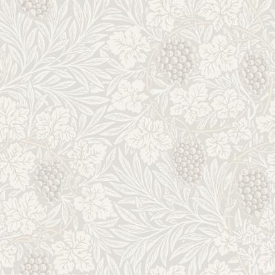 Dutch Wallcoverings Hidden Treasures - Vine Wit