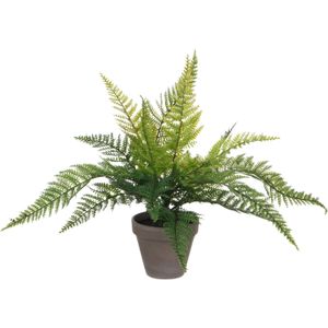 Varen kunstplant/kamerplant groen H40 cm x D36 cm    -