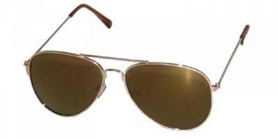 HIP Classic pilotenbril goudkleurig / bruin