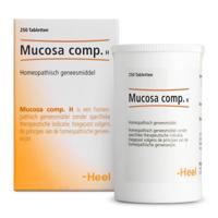 Mucosa compositum H 250 Tabletten