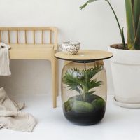 Terrarium Dijon Terrarium Dijon