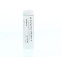 Homeoden Heel Juniperus communis D6 6 Gram