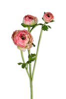 Ranonkel x3 l70cm dk roze kunstbloem Louis Maes - Louis maes