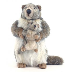 Luxe marmot met baby knuffel 35 cm