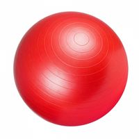 Fitnessbal Rood 75 cm incl. pomp - thumbnail