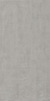 Century Titan Vloertegel | 60x120 cm | Gerectificeerd | Betonlook | Mat Grijs