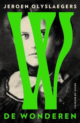 De wonderen - Jeroen Olyslaegers - ebook