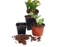 Plastic stekpotjes H6x7x7cm set a 20 stuks - Nature