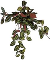 Plant hanging red back 46 cm Repto - Repto Plant hanging red back 46 cm Repto - Repto