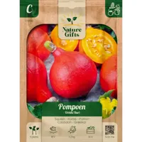 Pompoen uchiki kuri 5st