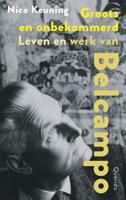 Groots en onbekommerd - Nico Keuning - ebook
