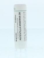 Homeoden Heel Potentilla anserina D6 6 Gram