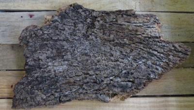 Stuk kurk - Warentuin natuurlijk