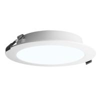 LED Downlight ECO - inbouwspot - mini LED paneel - 12 Watt 1160 lumen - Rond - 6500K daglicht wit - diameter 170mm - plat 27mm