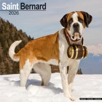 Sint Bernard Kalender 2026