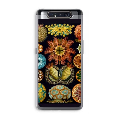 Haeckel Ascidiae: Samsung Galaxy A80 Transparant Hoesje