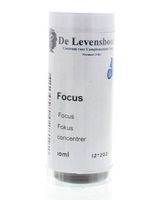 Focus