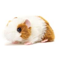 Hermann Teddy Knuffeldier Cavia - pluche - premium kwaliteit - 18 cm