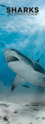 Haaien Slimline Kalender 2026 Haaien Slimline Kalender 2026