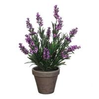 Mica Decorations Lavendel Kunstplant - H33 x Ø20 cm - Paars