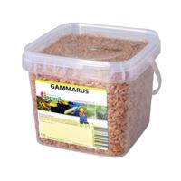 Gammarus 1.2 liter - Suren collection