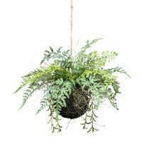 Kopu® Kunstplant BOL met diverse Varen Hangplanten 25 cm - Groen - thumbnail