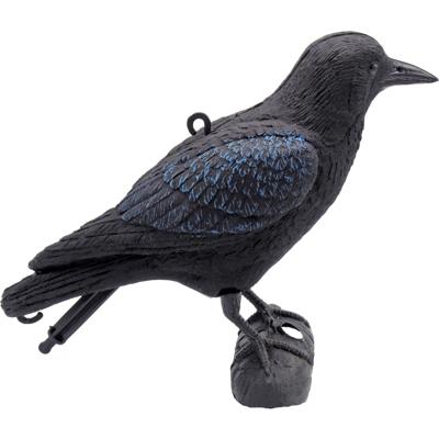 Ubbink kraai waterornament