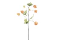 Kunstbloem "Physalis" Lampionplant Zacht Oranje 54cm