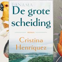 De grote scheiding De grote scheiding
