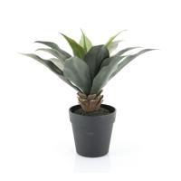 By-Boo Kunstplant Agave 35cm hoog - Groen - thumbnail