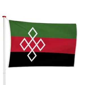 Vlag Rucphen