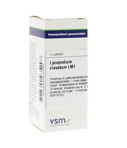 Lycopodium clavatum LM1