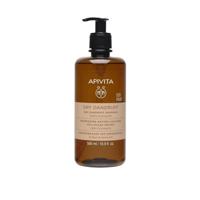 Apivita Hair Care Shampoo Dry Dandruff Shampoo 500ml | Dierproefvrije Shampoo