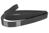 Poly V-riem DENCKERMANN, u.a. für Citroën, Peugeot, Lancia, Fiat, Alfa Romeo, Suzuki, Hyundai, Chrysler, Ford